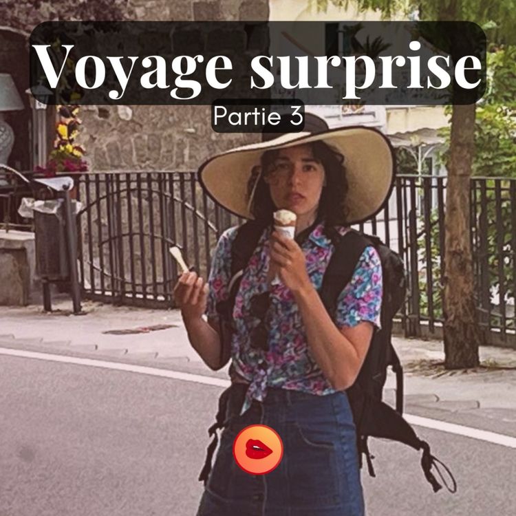 cover art for Voyage Surprise 3/3 - Miaou