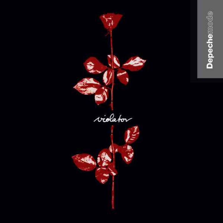 cover art for Le silence qui n'a jamais cessé de résonner