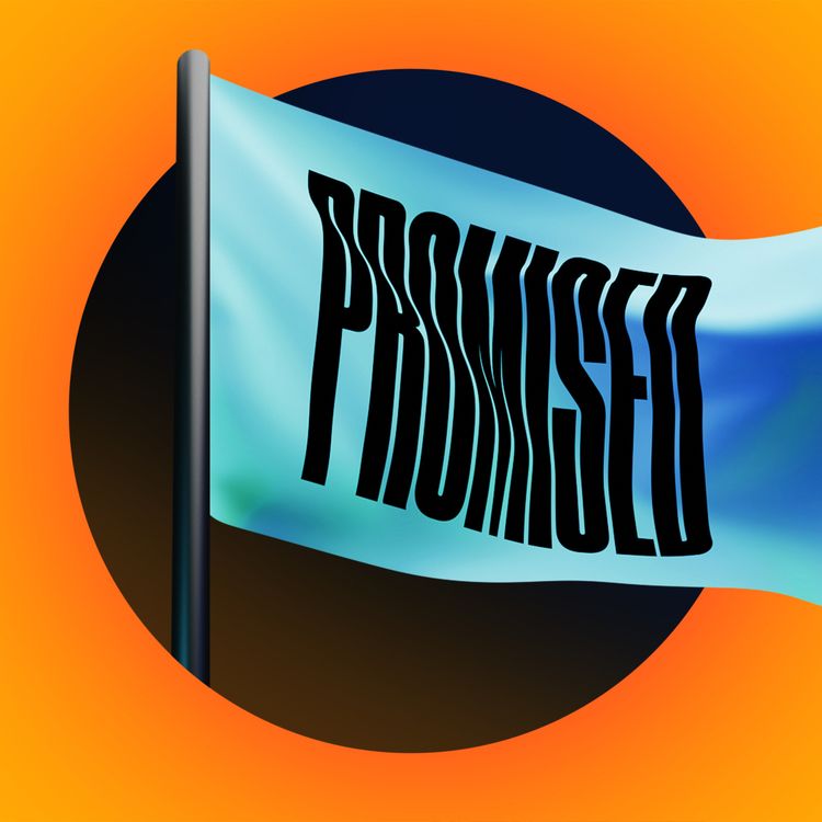 cover art for What Land?