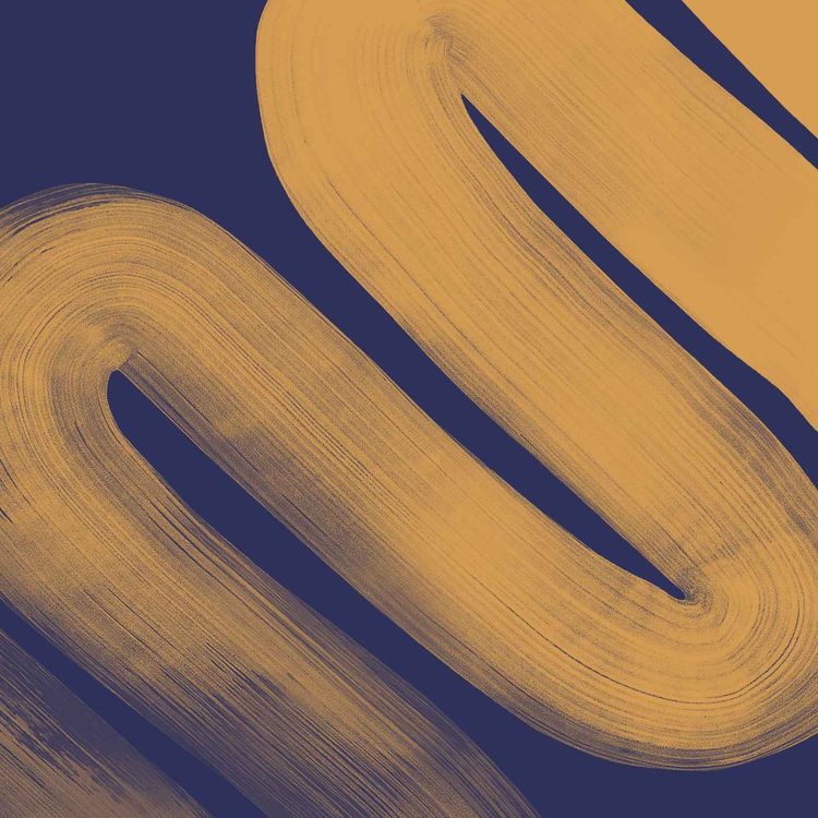 cover art for Non-Conformists: The Four Seeds