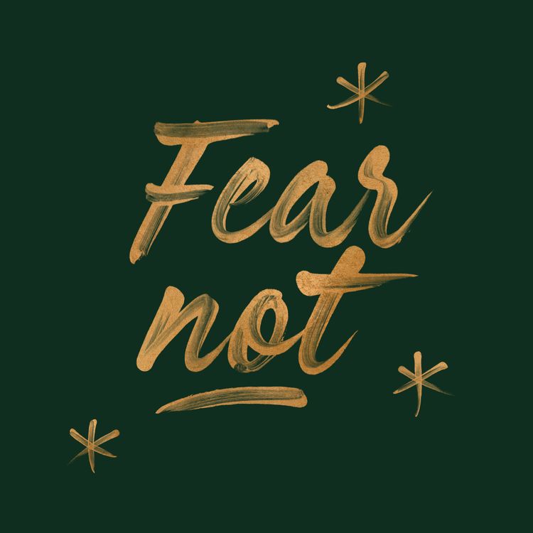 cover art for Fear Not: Heed and Obey God's Direction