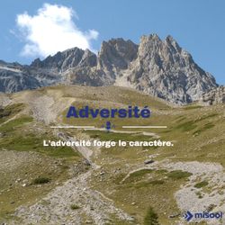 cover art for Adversité