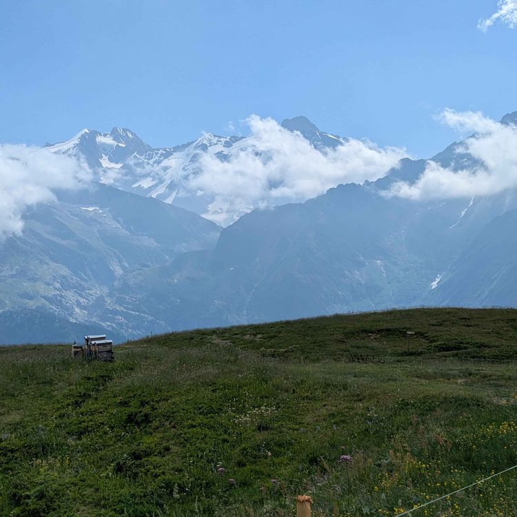 cover art for #85 - Débrief Montagn'hard 100 KM - Mon 1er abandon