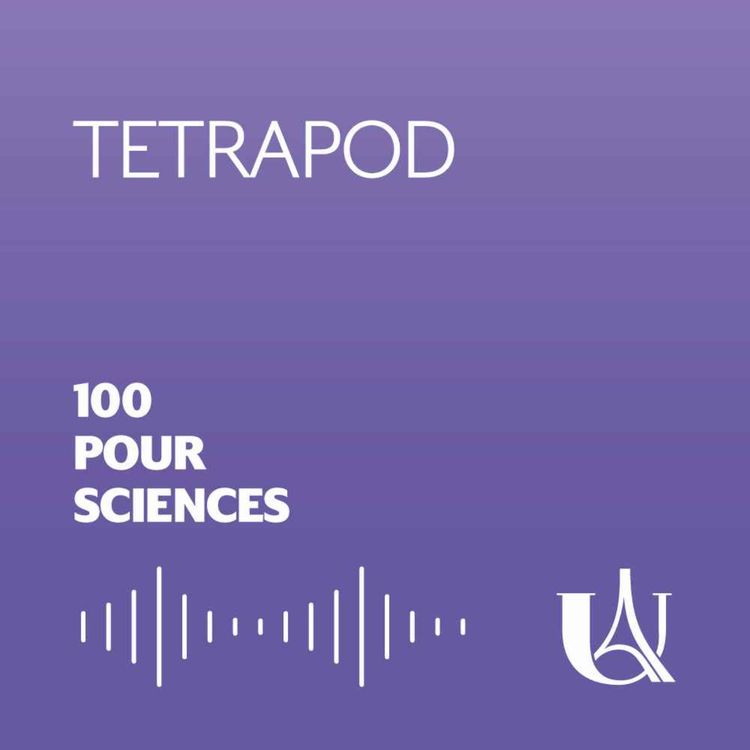 cover art for Tetrapod - Episode 4