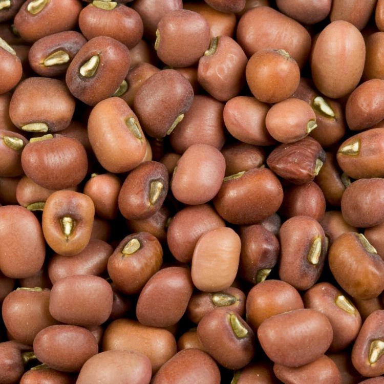 cover art for Beans (miskodiisimin) - Anishinaabe WOTD