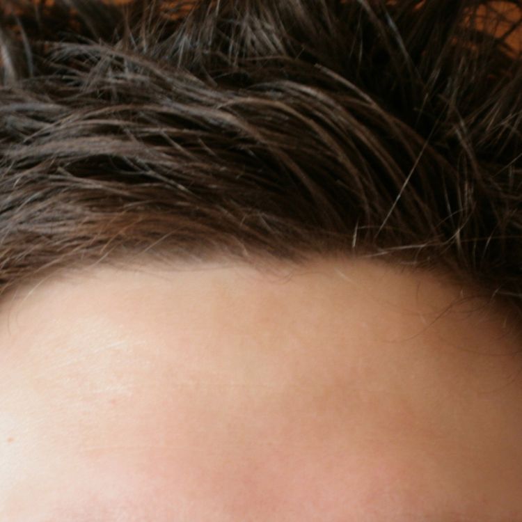 cover art for Forehead (nikatig) - Anishinaabe WOTD