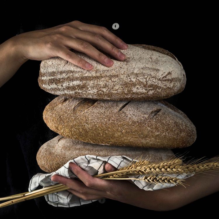 cover art for Bread (bakwezhigan) - Anishinaabe WOTD