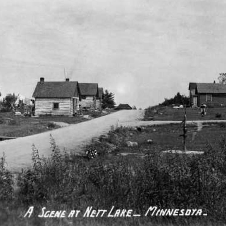 cover art for Nett Lake (Asabiikone-zaaga'iganiing )- Anishinaabe WOTD