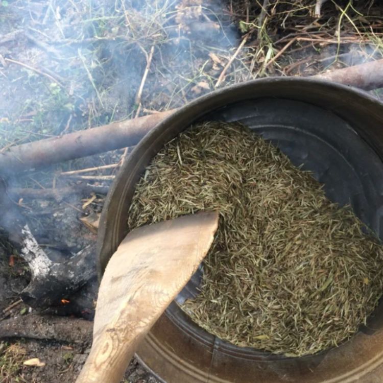 cover art for If you get a lot of rice, let's parch! - Anishinaabe WOTD