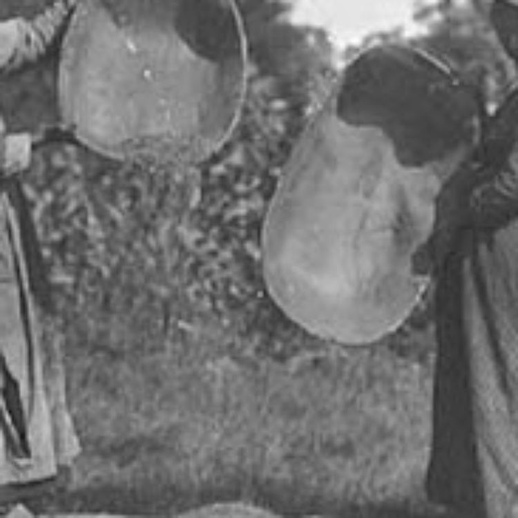 cover art for Wild rice fanning dish - Anishinaabe WOTD