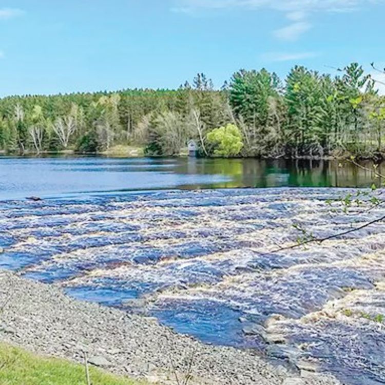cover art for Nett River (Zibikone-ziibi) - Anishinaabe WOTD