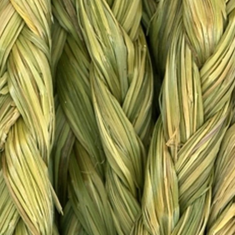 cover art for Sweet Grass (bashkodemiskawizhi) - Anishinaabe WOTD