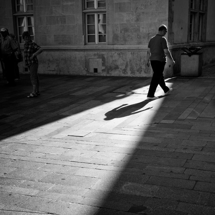 cover art for Leaves (Maja) - Anishinaabe WOTD