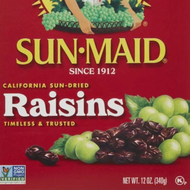 cover art for Raisin (zhoominens) - Anishinaabe WOTD