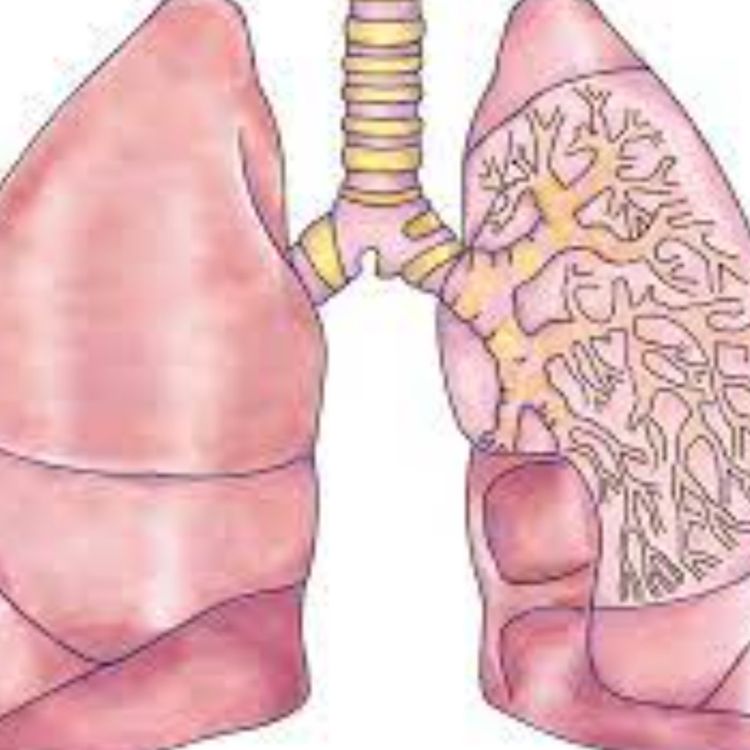 cover art for Lung (opan) - Anishinaabe WOTD