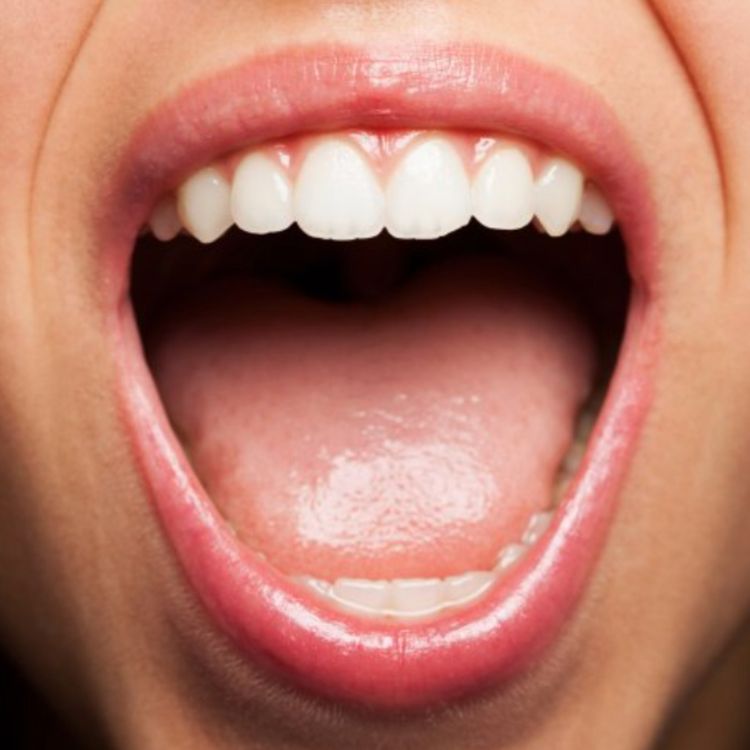 cover art for Mouth (doon) - Anishinaabe WOTD