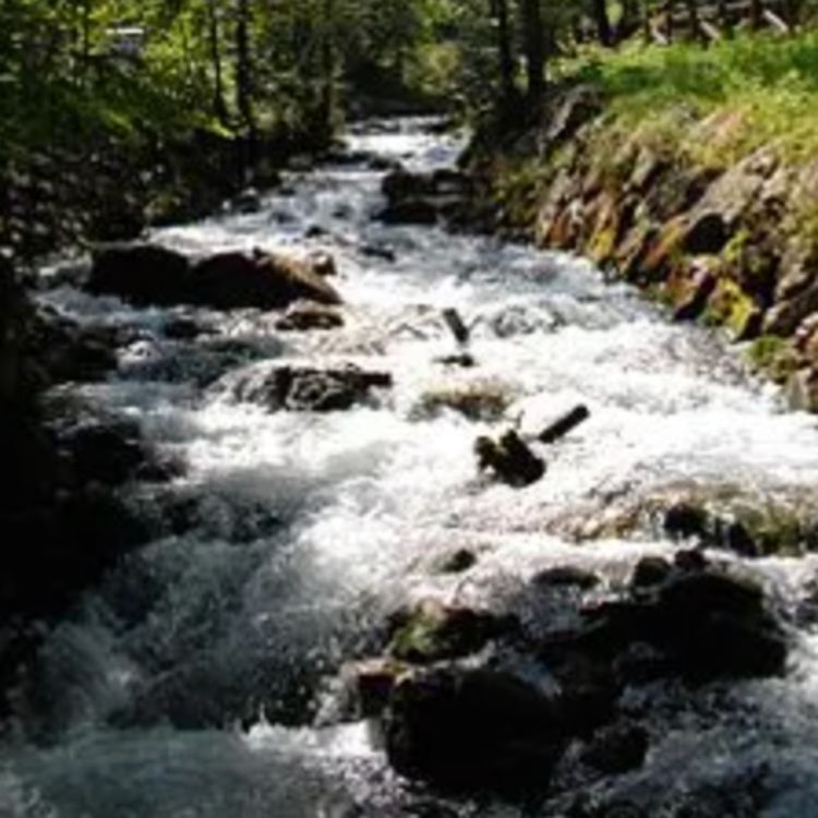 cover art for Frog Creek (omagakii ziibii) - Anishinaabe WOTD