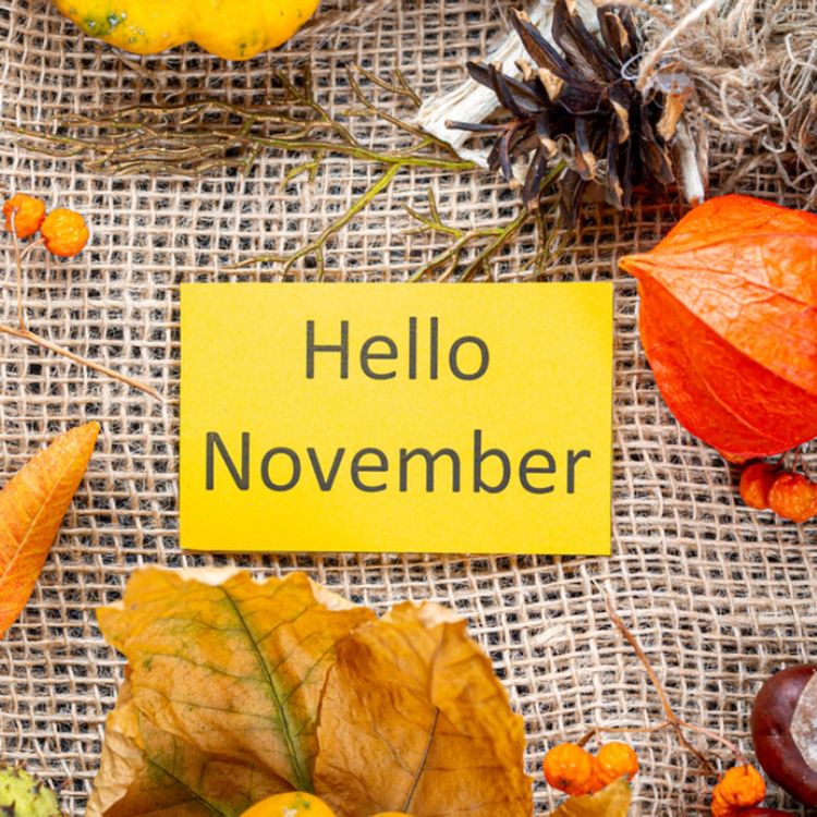 cover art for November (gashkadino-giizis)