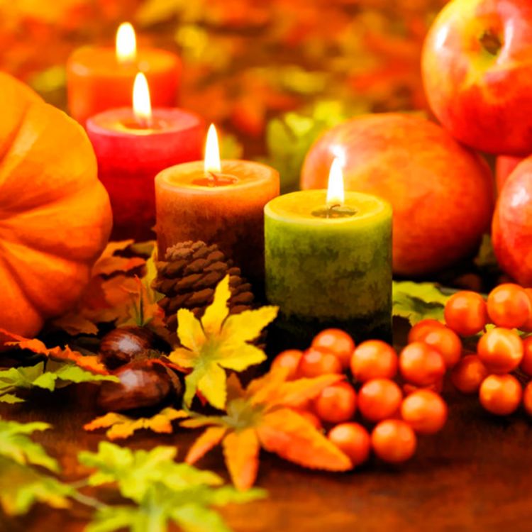 cover art for Thanksgiving (miigwechiwi-giizhigad) - Anishinaabe WOTD