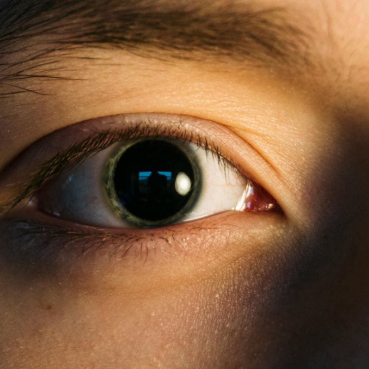 cover art for My eye (nishkiinzhig) - Anishinaabe WOTD