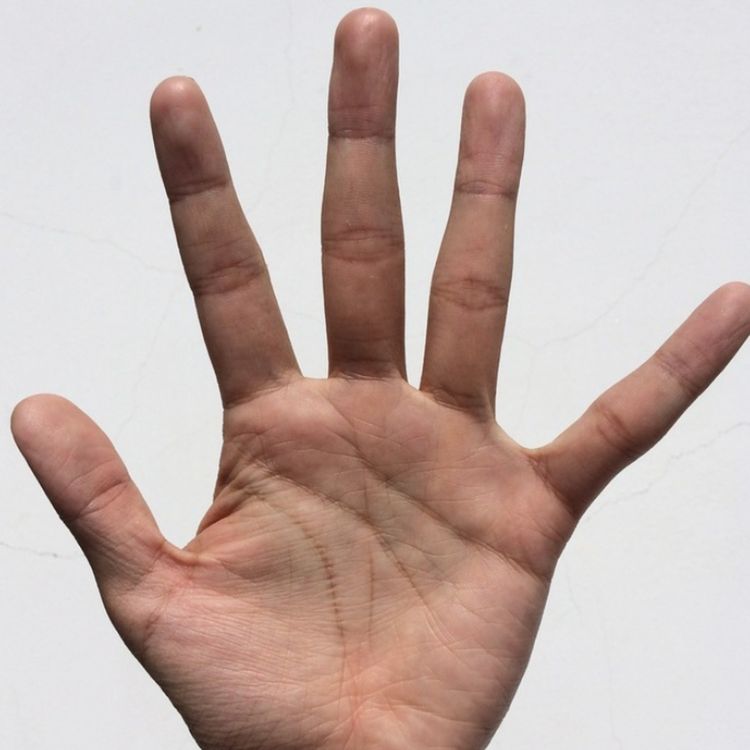 cover art for Palm (ninagaakininj) - Anishinaabe