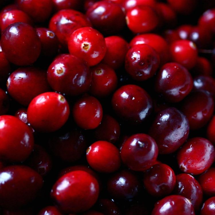 cover art for Cranberry (maskigaminan) - Anishinaabe WOTD