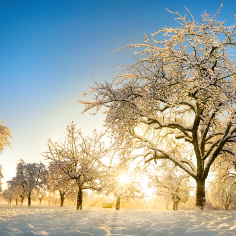 cover art for Winter (Biboon) - Anishinaabe WOTD