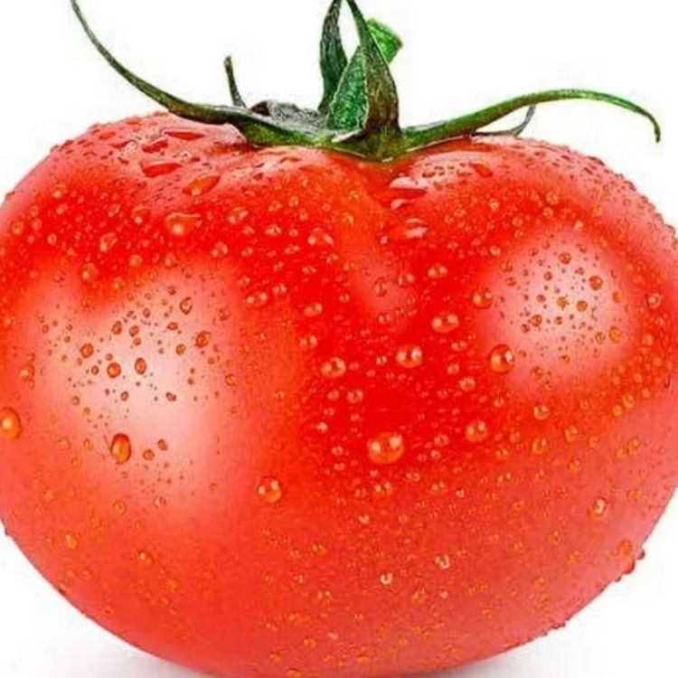 cover art for Tomato (gichi-ogin) - Anishinaabe WOTD