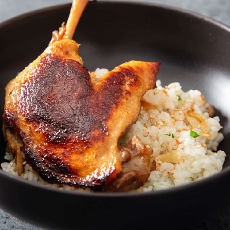 cover art for Duck with rice( zhiishiib minowah manoomin) - Anishinaabe WOTD