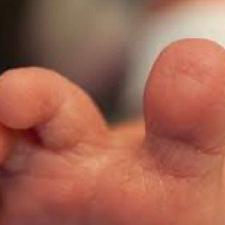 cover art for Toe (niibinaak waanizidaan) - Anishinaabe WOTD