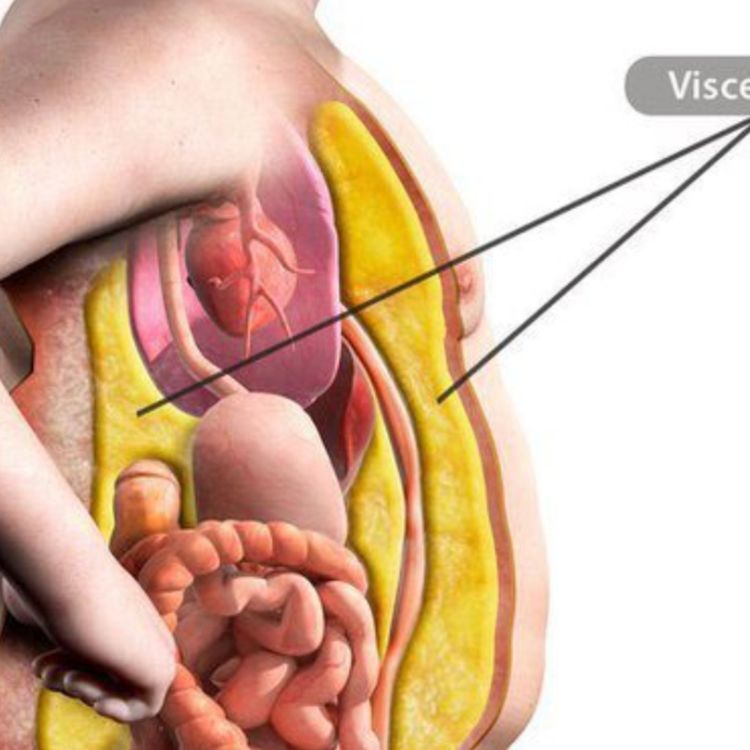 cover art for Fat (wiinino) - Anishinaabe WOTD