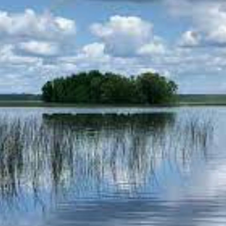 cover art for Spirit island (naawigwam) - Anishinaabe WOTD