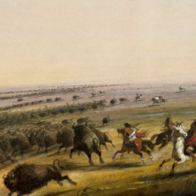 cover art for Hunter (giiyose) - Anishinaabe WOTD