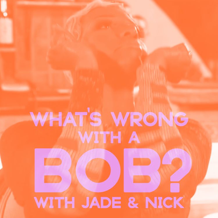 cover art for Meet the Bobs