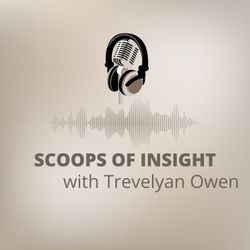 cover art for Scoops of InSight