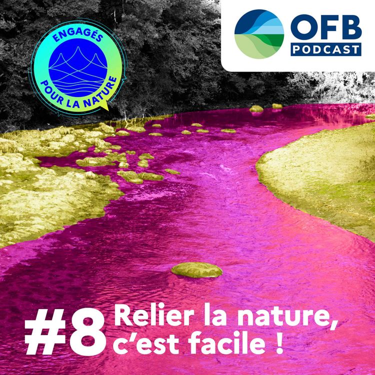 cover art for Relier la nature, c'est facile