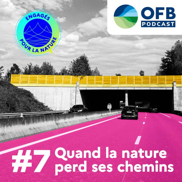 cover art for Quand la nature perd ses chemins