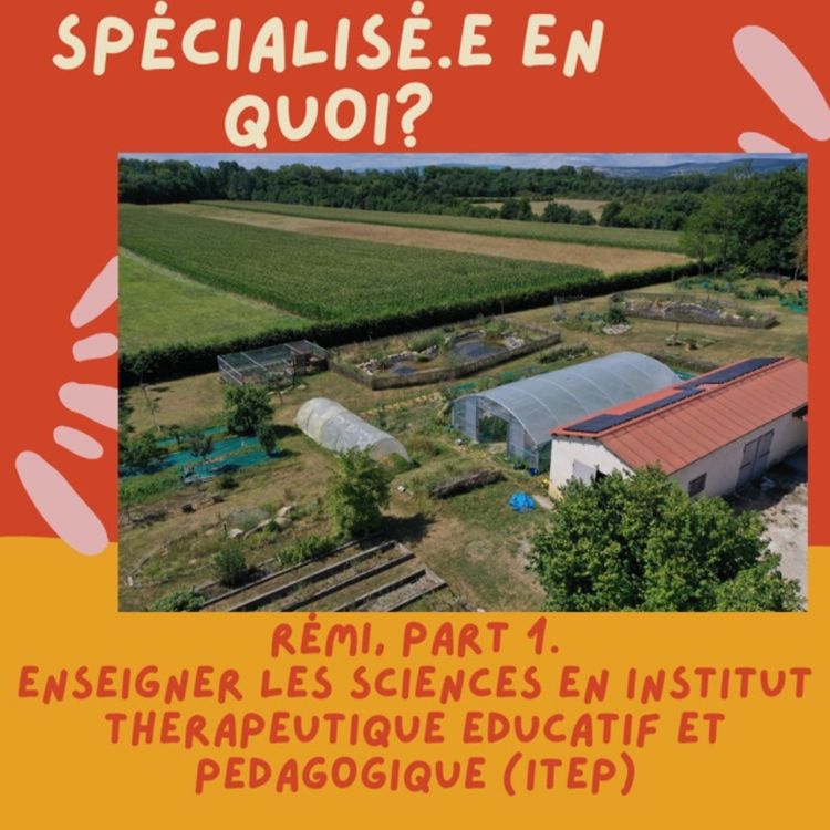 cover art for Rémi, enseigner les sciences en ITEP