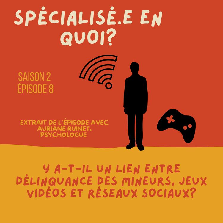 cover art for Y a-t-il un lien entre délinquance des mineurs, jeux vidéos et réseaux sociaux?