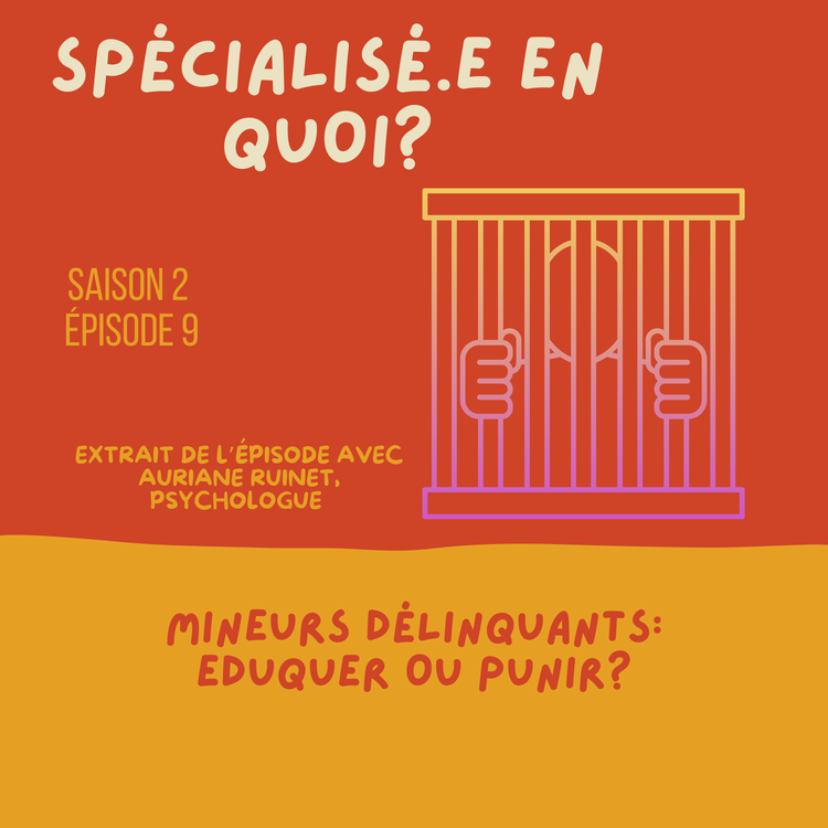 cover art for Mineurs délinquants : éduquer ou punir? 