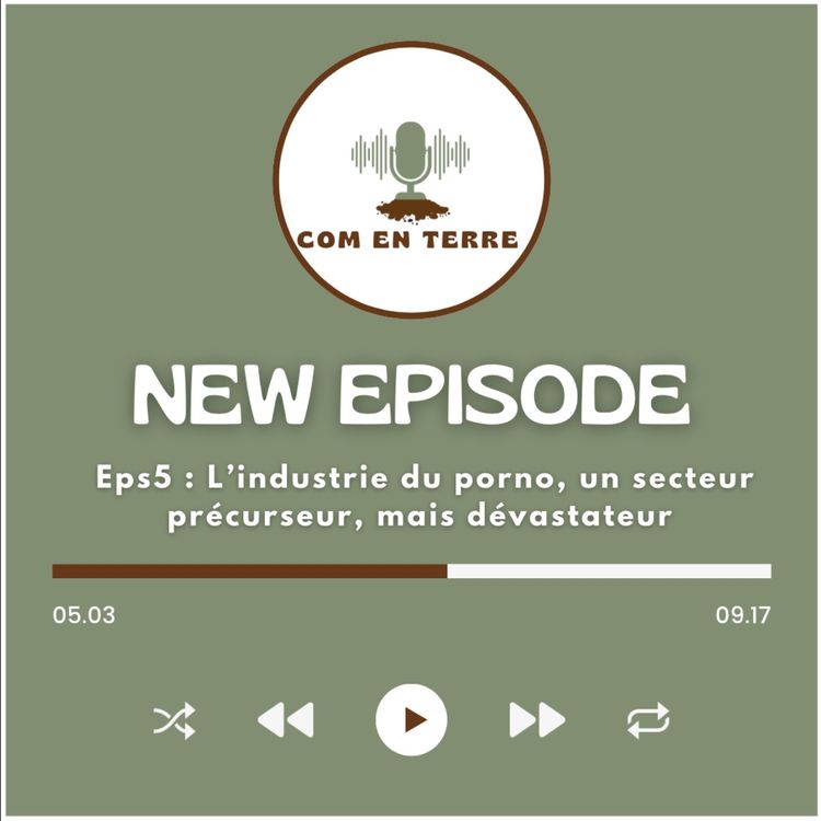 cover art for L'industrie du porno, un secteur précurseur, mais dévastateur