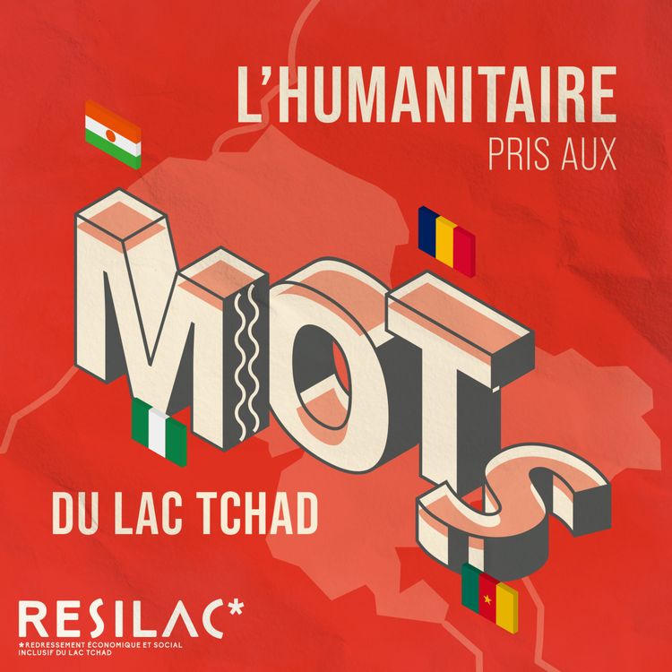 cover art for Les mots du Lac Tchad (1/4) | Repenser l'humanitaire : l'approche territoriale au cœur des solutions