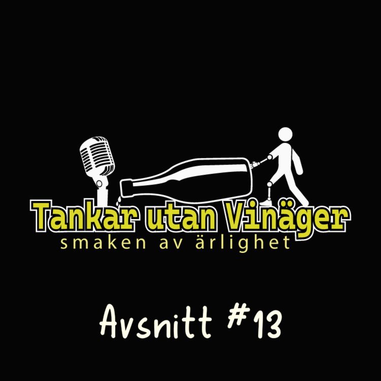cover art for Avsnitt #13