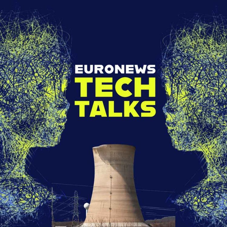 cover art for Nuclear energy: The debate