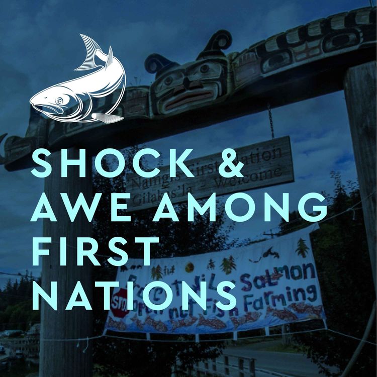 cover art for Shock & Awe Among First Nations