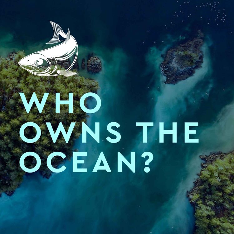 cover art for Who Owns The Ocean?