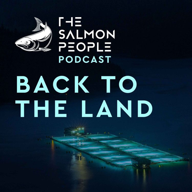cover art for Back to the Land