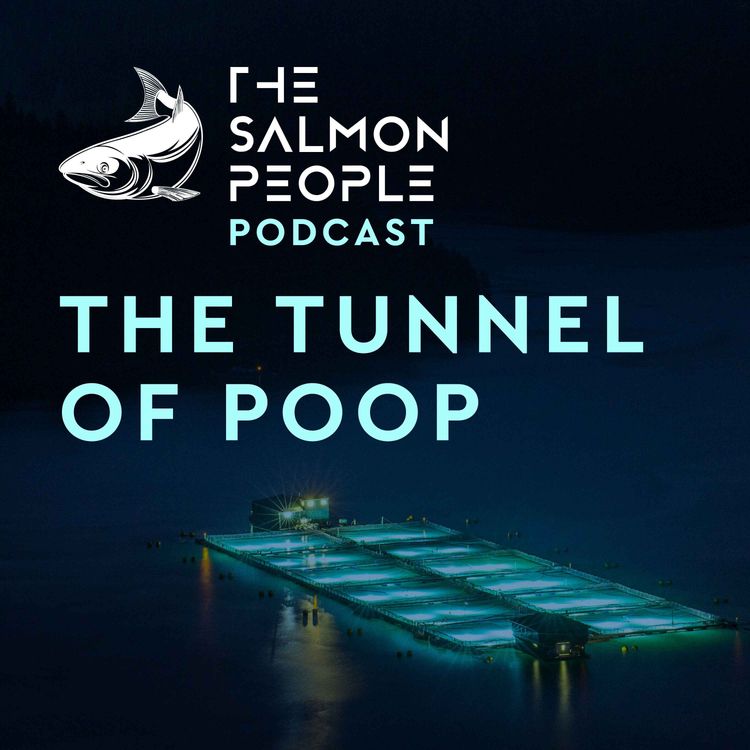 cover art for The Tunnel of Poop