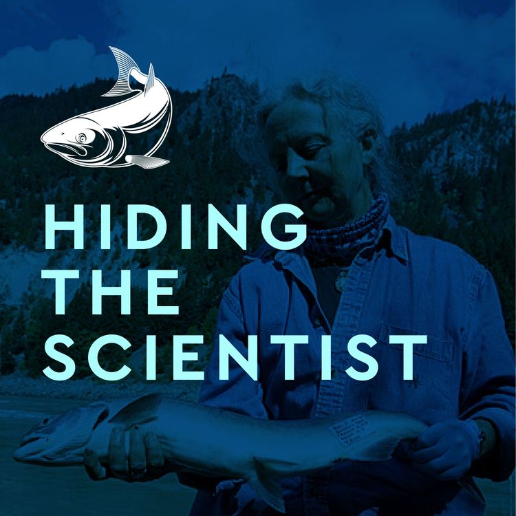 cover art for Hiding the Scientist