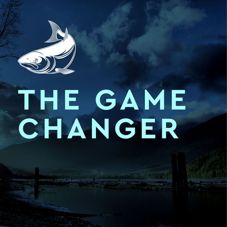 cover art for The Game-changer